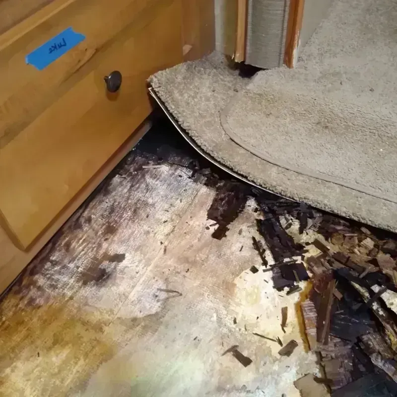 Wood Floor Water Damage in Orange, NJ